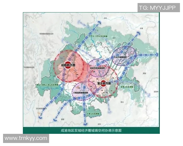 成都乒乓球队加速转型探讨与未来发展路径的热烈讨论